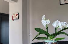 Villa vista vigneto - Foto 24