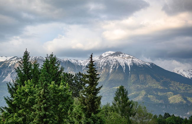 Vila Ula La Luxury Apartments Bled - Foto 38