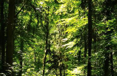 Im Herzen des Kraichgaus 1 - Foto 25