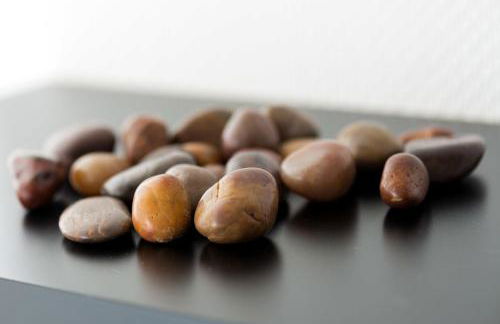 Ferienwohnung Ruraue - Foto 10