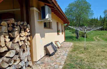 Szwałk Borecka - z sauną i balią, nad jeziorem - Foto 23