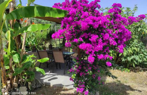 Aglaia House - Foto 20