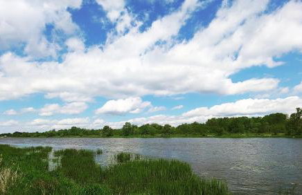 Masuria Warsaw Family - dom na wyłączność - w lesie i przy rzece - 15 min od Warszawy - idealny dla rodzin z dziećmi - Foto 45