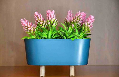 Jim House Thessaloniki - Photo 44