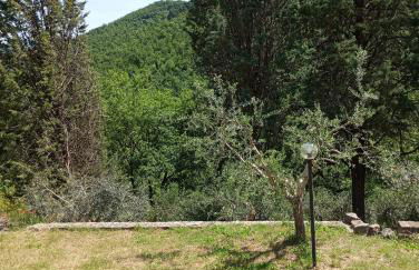 OLEA casa vacanze - Foto 31