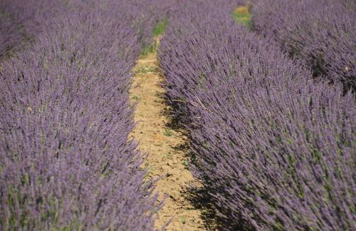 Il Nido di Giulia - Foto 26