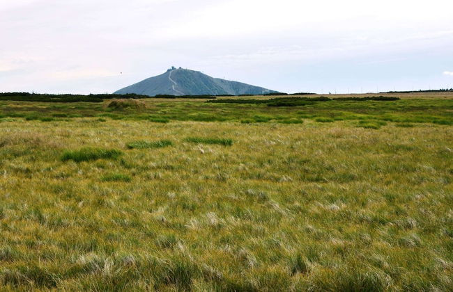 Apartment Near Ski Slopes - Photo 29