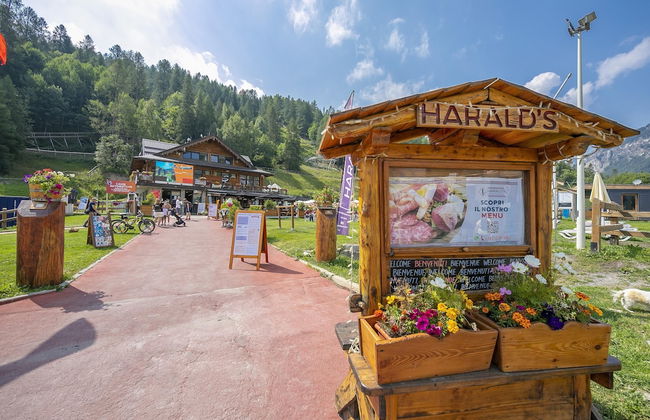 La Tana Dello Scoiattolo Skiing Nearby - Foto 21