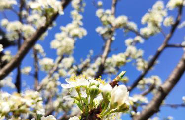 Apartman Anita - Foto 13