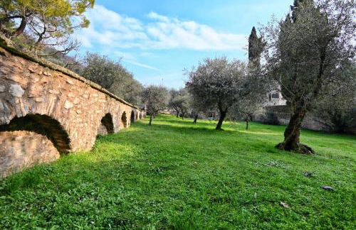 Rustico Cecina - Theater Home - Foto 16