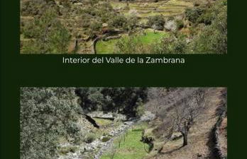 Casa rural La calleja de las hurdes TRCC00555 - Foto 65