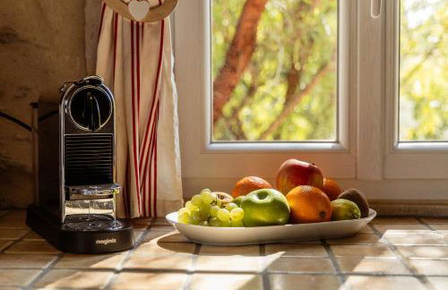 Mas Millésime - Gîtes Carignan - 4 pers - piscine privative - St Remy de Provence - Photo 48