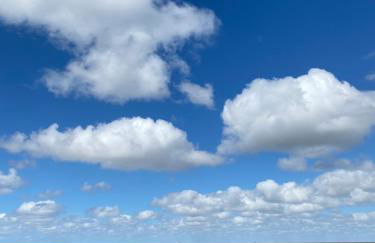 Gut Groß Fedderwarden, Ferienwohnung Mettje - Photo 22