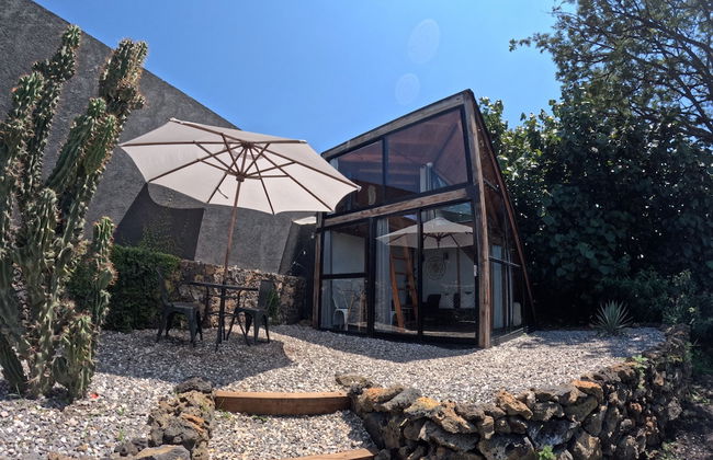 Bosque Geométrico - Foto 3