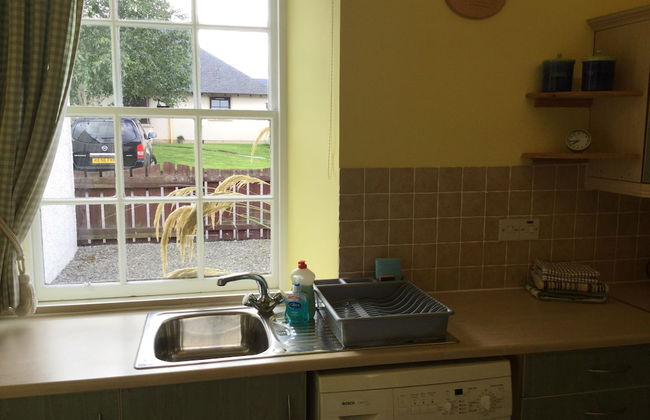 Inverness Apartments - Courtyard - Photo 4