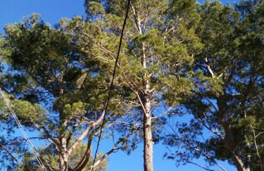 SOUS LE SOLEIL DE PROVENCE - Foto 25