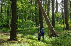 Ferienhaus Triasland - Foto 13