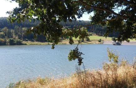 Ferienhaus 'am Aartalsee' - Photo 7