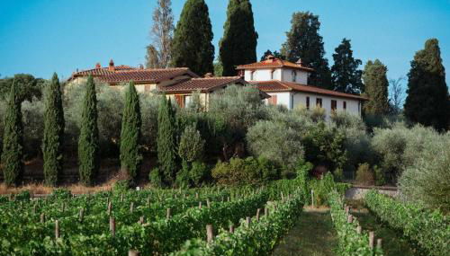 La Locanda Cuccuini - Foto 1, Garden, Garden view