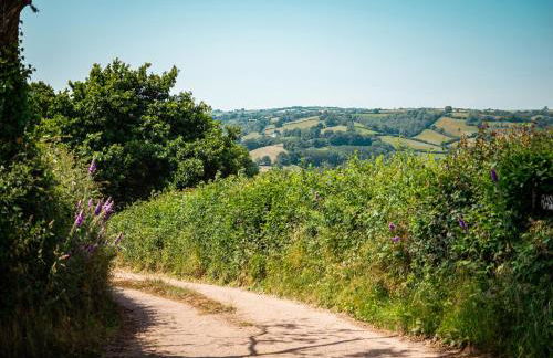 Fig Tree Cottage - Foto 31