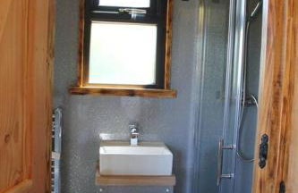 Pembrokeshire Shepherd hut with hottub - Foto 15