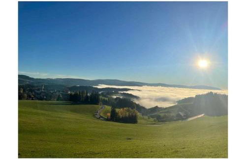 on the Willmann farm - Foto 11