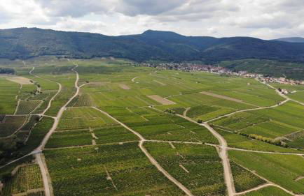 gîtes au domaine Greiner - Foto 37