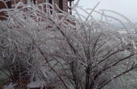 Widokowa Osada - Foto 2