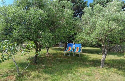 Apartments Dandić - Photo 62