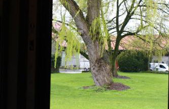 Weitblick - Ruhepol in münsterländer Parklandschaft - Foto 8