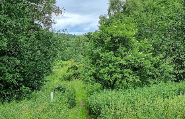 8 Person Holiday Home in Gjern-by Traum - Foto 25