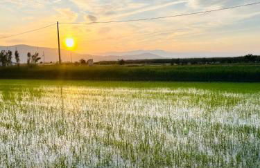 Delta Playa, Vistas Comfort premium - Foto 55