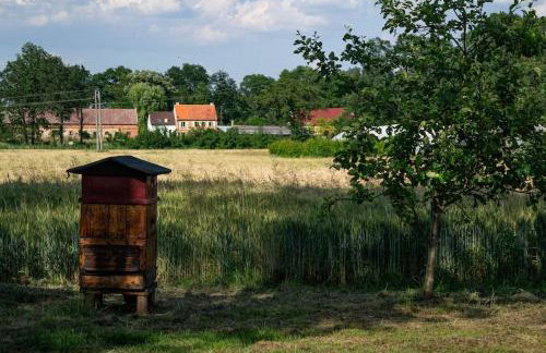 Agroturystyka Borów - Foto 23