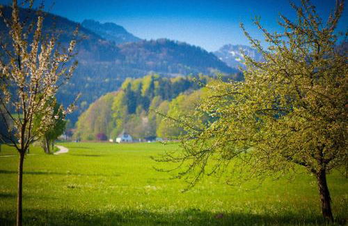 Zeitraumferien - Foto 59