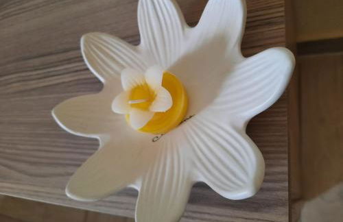 Villa MIRIAM - Foto 63