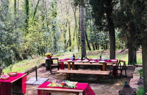 Il Bosco del Lebbio - Foto 24