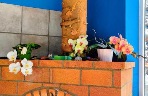 La casita del fin del mundo en La Palma - Foto 12