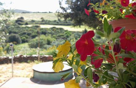 Da Nonno Francesco - Foto 16