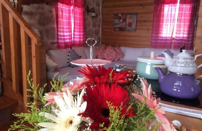 Ambar Evleri - Foto 23