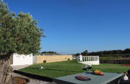 Adega Monte Maneta - Foto 6