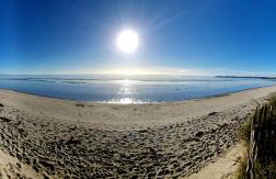 Ty Kermor - Photo 18