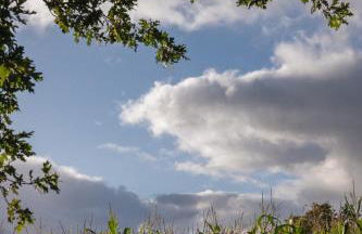 Holi Huus B - Photo 36