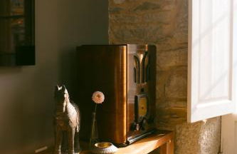 A galería do san Ramón - Foto 26