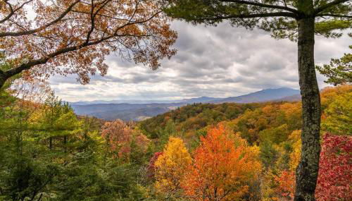 Angels Envy - Foto 2