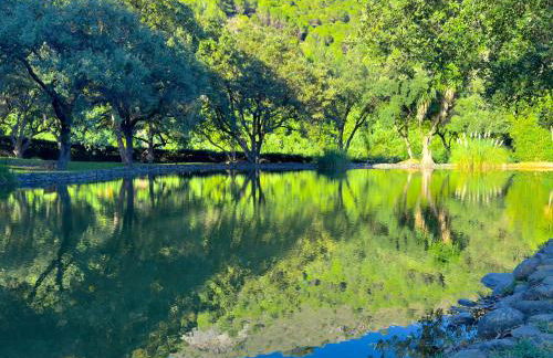 La Fuente del Pedregal Casa 1 - Lago y piscinas - Photo 24