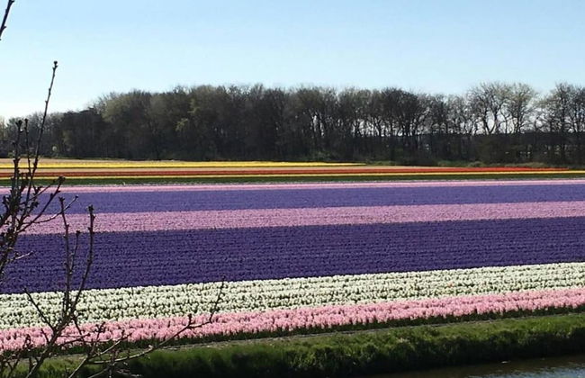 Lovely Home in Noordwijkerhout near Sea Beach - Foto 29