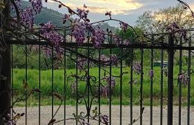 I Gelsi di Colombata Locazione turistica breve in campagna - Foto 37