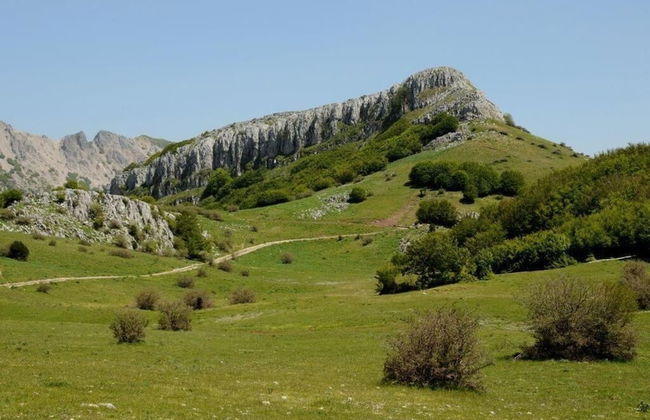 Giardino Donna Lavia - Photo 37