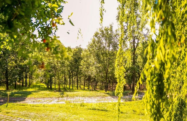 Apartment Amidst Vineyards & Blue Skies - Foto 32