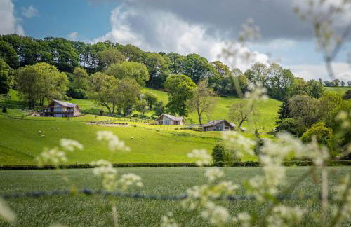 Llety-Bugail - Foto 28